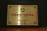 B1、中國房地產(chǎn)誠信企業(yè)2005—2006年